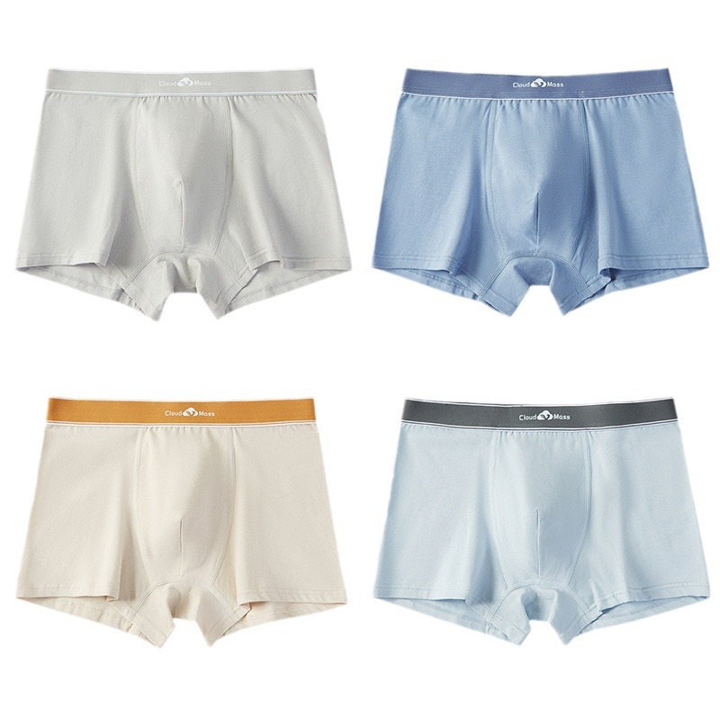 Picture of Youth underwear boys' cotton boxers high school junior high school students boys' development period boxers shorts inner wear