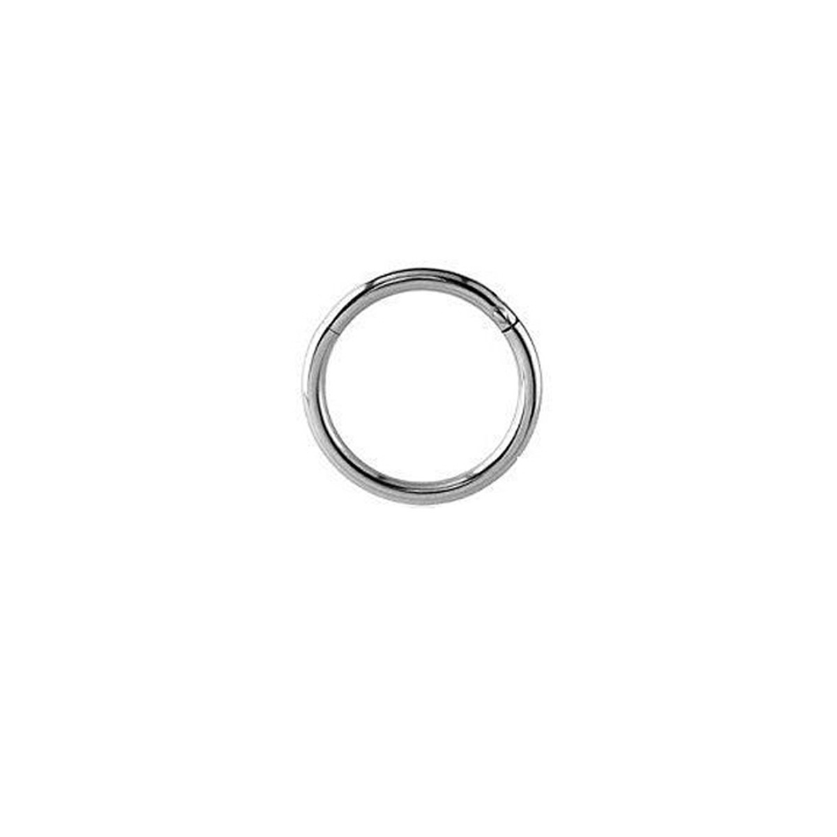 Picture of G23 Titanium Alloy Seamless Closed Ring Lip Ring Nasal Septum Colorful Nose Ring Multi-Purpose Ring Ear Bone Ring Piercing Jewelry