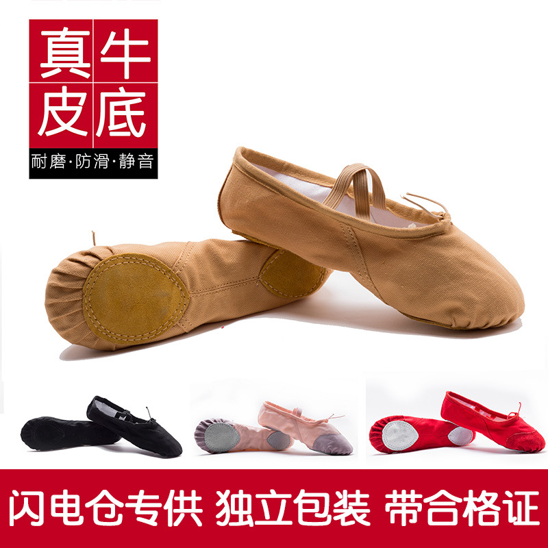 Adult and toddler dance shoes, women's wholesale soft-soled practice shoes, men's cat paw shoes, dance posture yoga ballet shoes