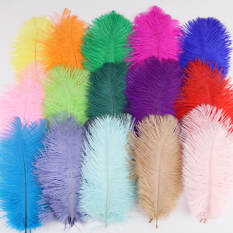 Colorful 15-20CM ostrich feather influencer photo background wall, feather cake, flower arranging, performance costume DIY decoration
