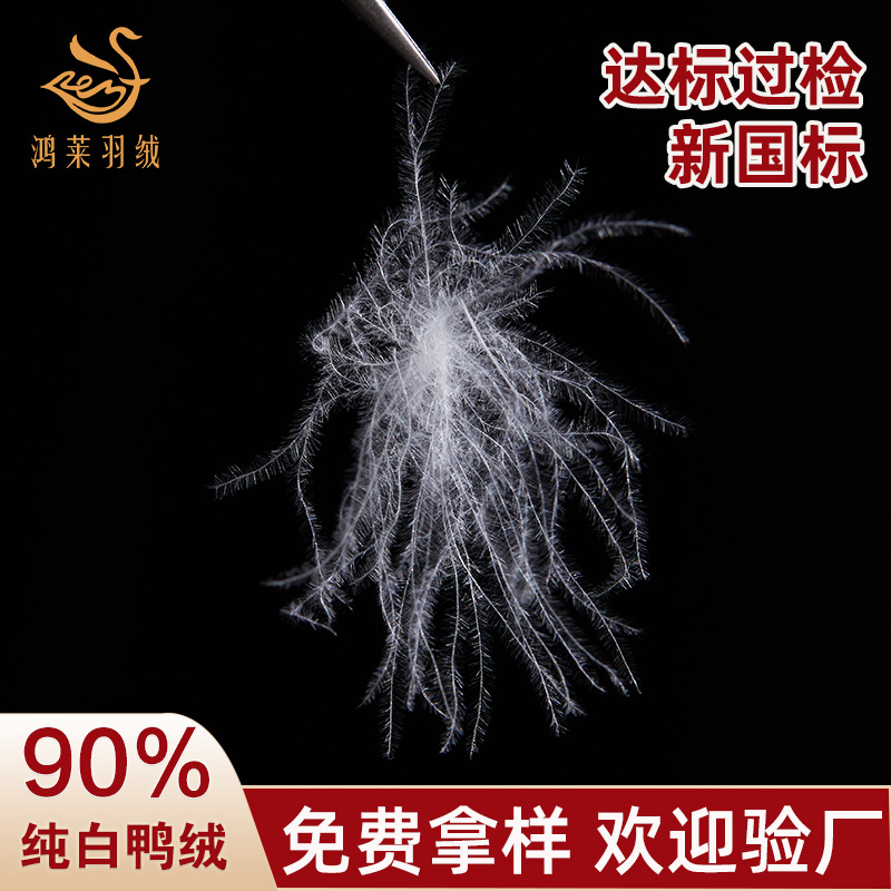 Large pure white down 90 white duck down new national standard high fluffy washed feather clothing is now filled with wholesale raw materials