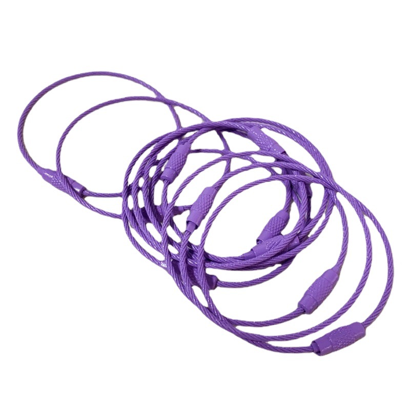 DIY handmade candy color key ring color paint galvanized steel wire rope tag bag cartoon key lanyard
