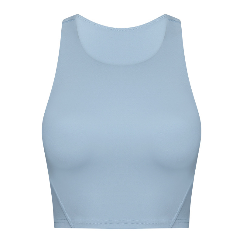 Picture of New Style Elevated Round Neck Sports Vest with Chest Pad for Women Nude Sports Fitness Yoga Bra Dt169