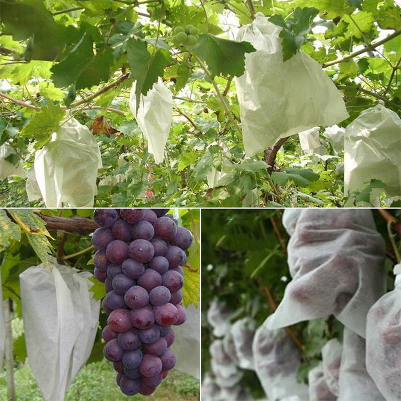Picture of Non-Woven Fruit Bagging, Tying Wire, Grape Bag, Anti-Bird and Insect-Proof Water, Special Fruit Bag, Seedling Bagging, Spot Wholesale