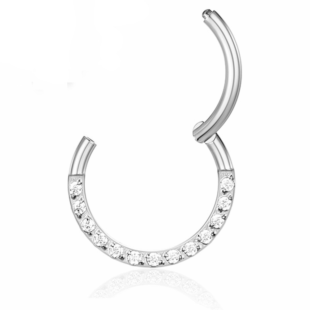 Picture of CNC factory 316L stainless steel puncture jewelry zircon ring closed ring seamless nose ring multifunctional cartilage earrings