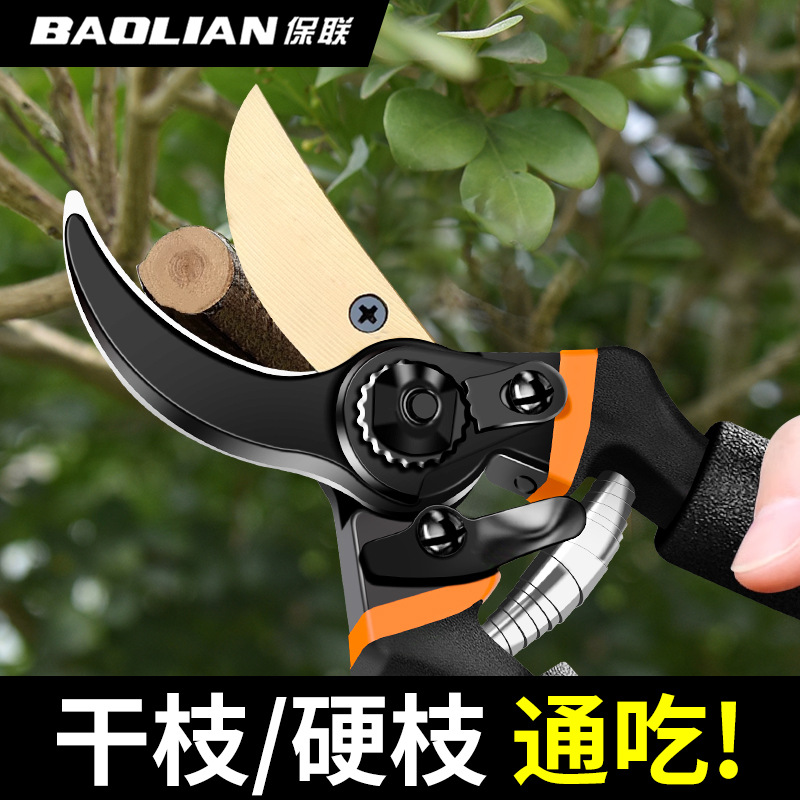 Baolian Pruning Scissors Garden Flower Pruning Branch Scissors Fruit Tree Scissors Thick Large Flower Scissors Gardening Scissors Tools