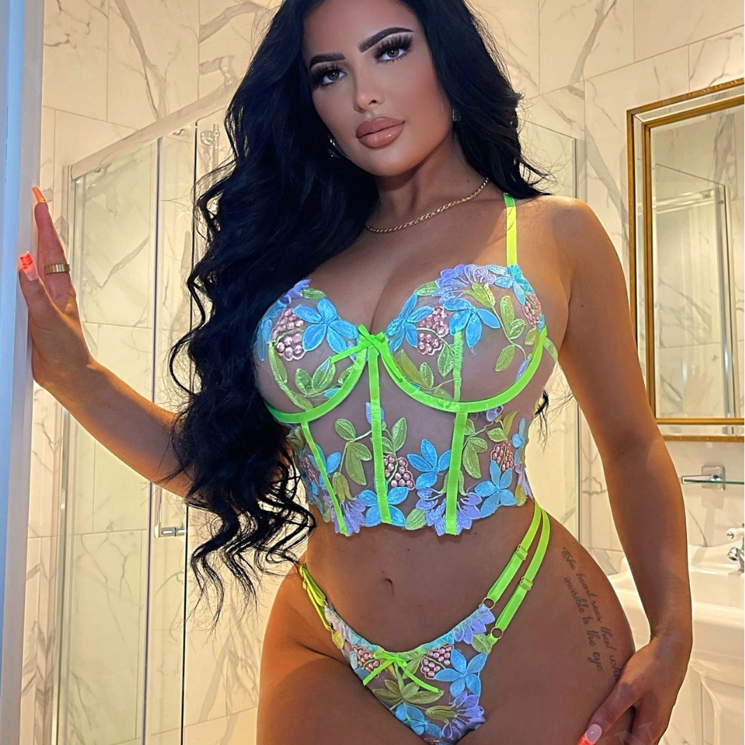 Cross-border supply European and American Foreign trade sexy lingerie sexy women's strap printed embroidered underwear two-piece set Wholesale