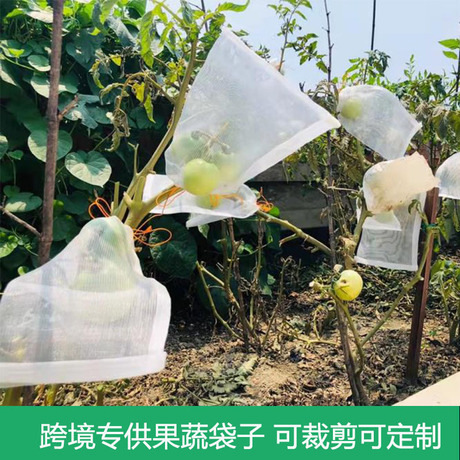 Tie Silk Fruit Bird and Insect-proof Mesh Bag Melon and Fruit Protection Bag Fig Loquat Mesh Bag Peach Strawberry Protection Cover