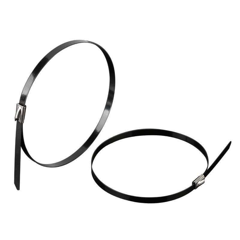 Picture of Metal marine cable tie 201 plastic spray ball self-locking 304 stainless steel cable tie 4.6*300 metal cable tie