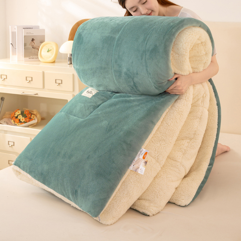 Picture of Lamb Velvet Quilt Winter Quilt Milk Velvet Coral Velvet Spring & Fall Quilt Student Dormitory Single Quilt Quilt Core Does Not Shed Lint