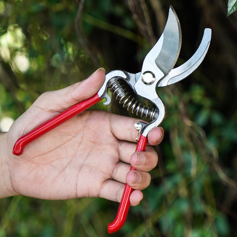 Pruning shears stainless steel multifunctional gardening shears orchard flower branches grafting branches garden branch tool shears fruit picking