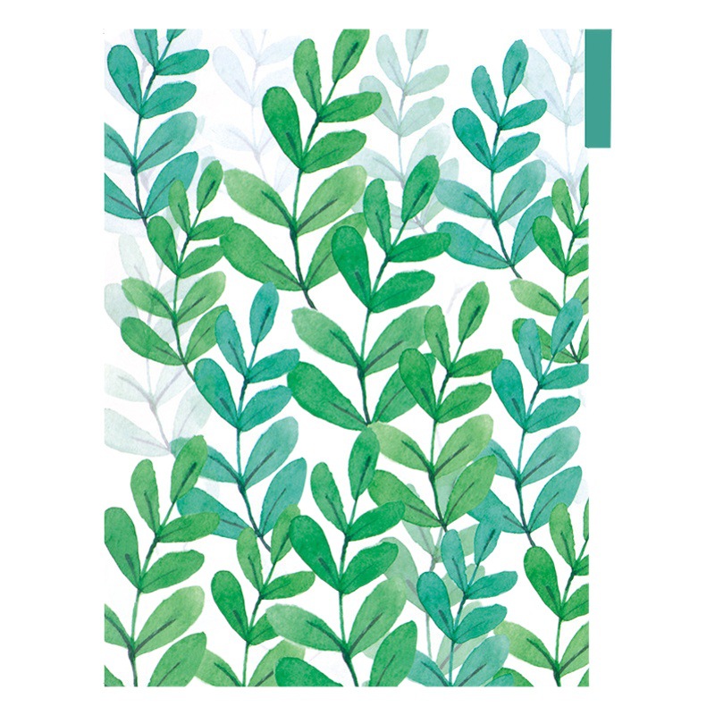 Color 6-hole loose-leaf accessories PP Index Page Separator paper standard A5A6 hand account separator paper PP transparent material