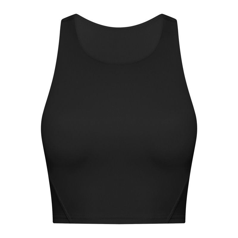 Picture of New Style Elevated Round Neck Sports Vest with Chest Pad for Women Nude Sports Fitness Yoga Bra Dt169
