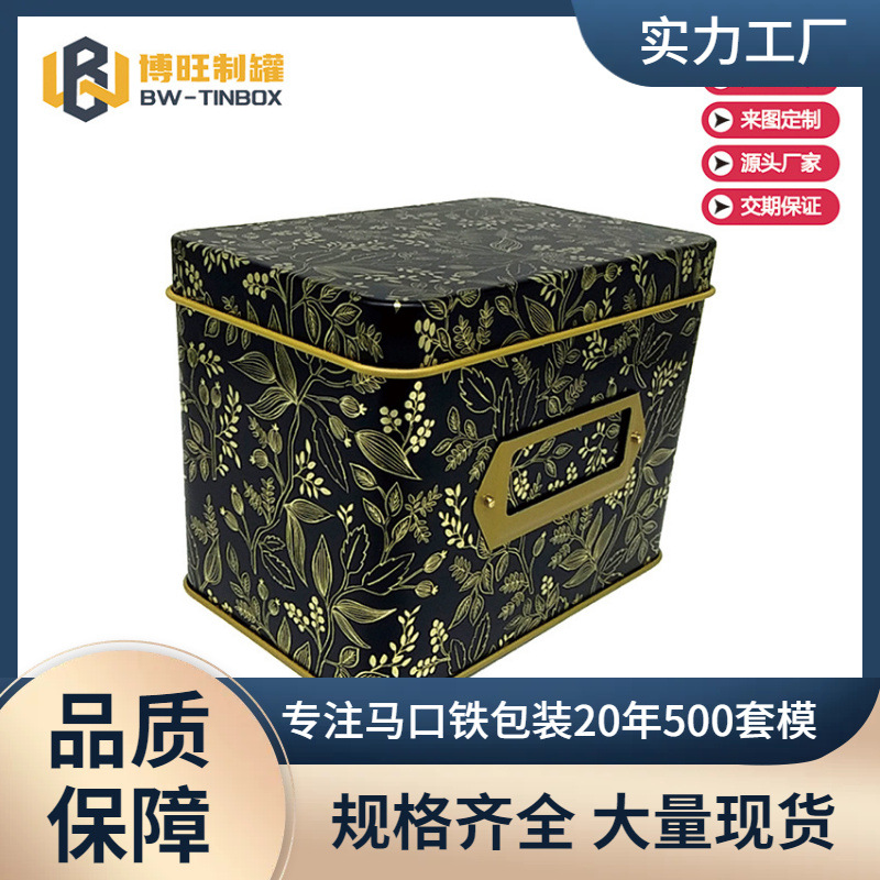American Sacrina Thickeneded Metal Iron Box Dressing Table Cosmetics Storage Box European and American Iron Box