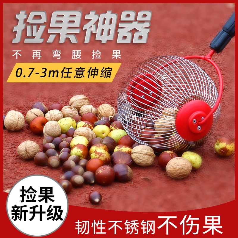 Fruit CollectorFruit PickerQuickFruit PickerPickerChestnut PickerPickerPecanChestnut NutPicker