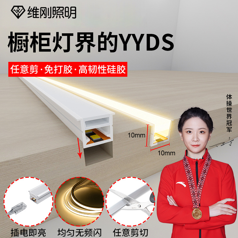 Cabinet lights silicone lights with one lamp and one cut led lights with a complete set of lights with welding-free silicone 24V low voltage DuPont