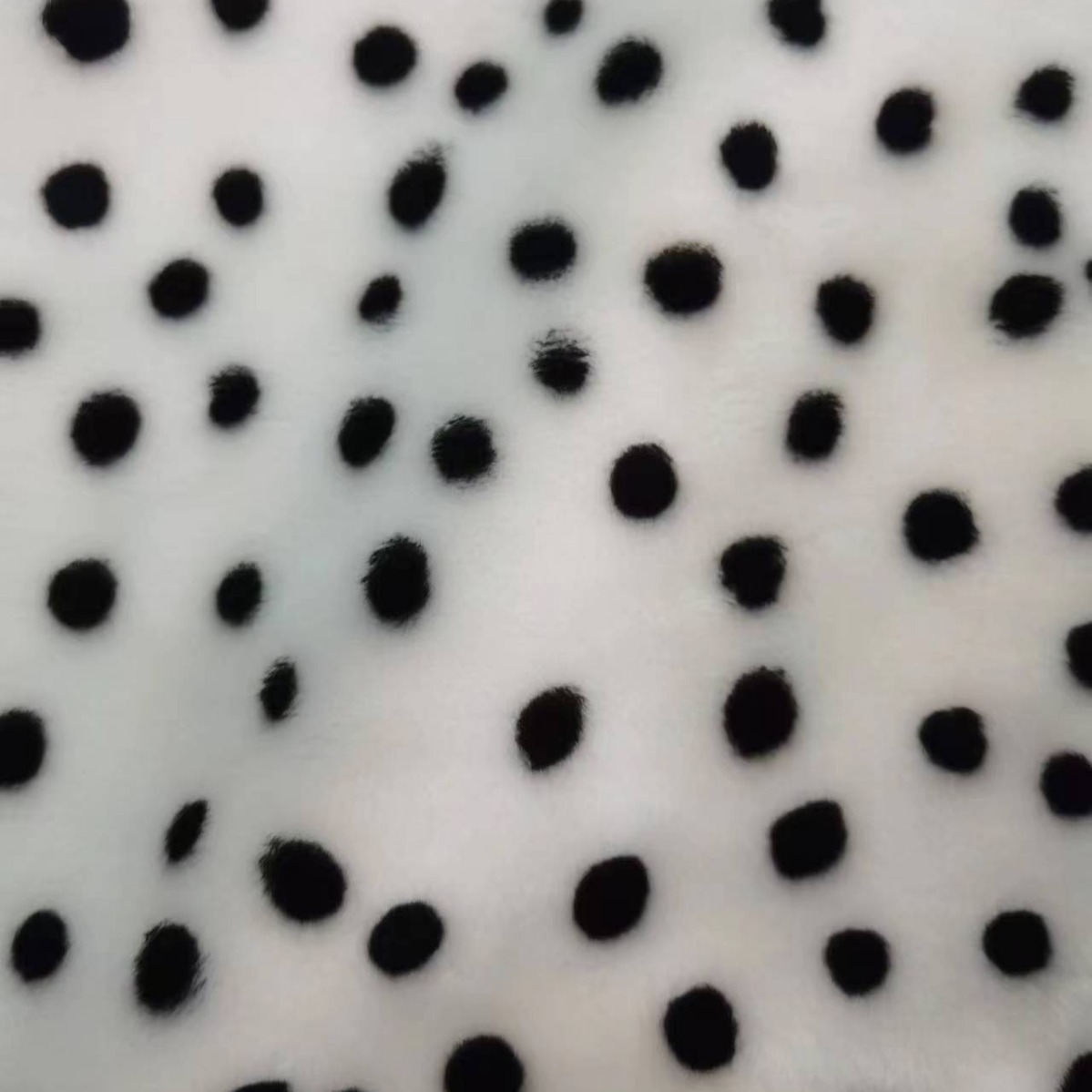 in stock 1cm white print black dot polyester flat wool print cut loop velvet print white print black dot