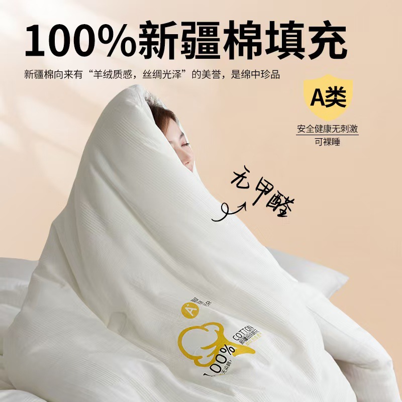 Picture of Class A Xinjiang Cotton Quilt 100 Pure Cotton Quilt Long-staple Cotton Spring and Autumn Quilt Thickened Winter Quilt Single Double Household