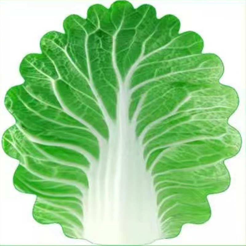 Picture of Baby blanket super soft blanket baby cabbage printed flannel blanket hat pancake blanket towel