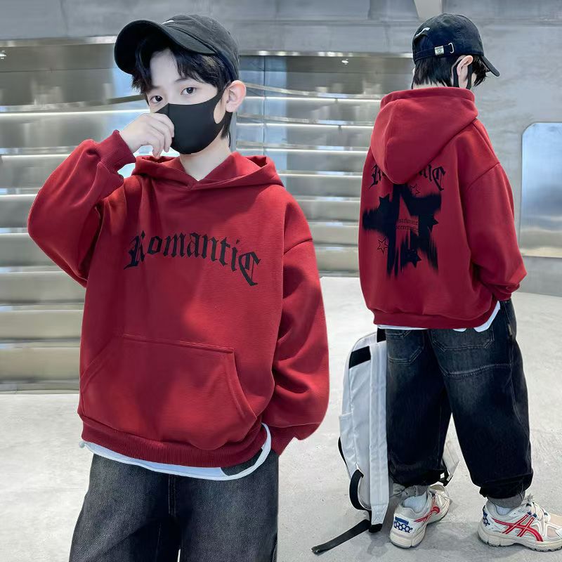 Boys' Sweatshirt Autumn and Winter New Early Autumn Children's Clothes Boys Autumn Hooded Top Big Children's Clothes Cool Handsome Sweatshirt