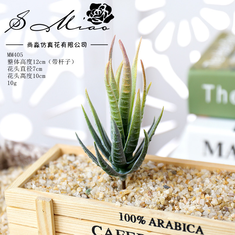 Picture of 003 Flocked Green Succulent Flower Head Creative DIY Supplies Bonsai Accessories Artificial Flower Jinhua Factory Direct Supply