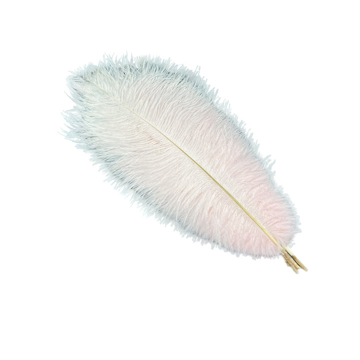 Picture of White ostrich feather 25-30cm natural ostrich feather dyed feather wedding decoration lamp ornament feather