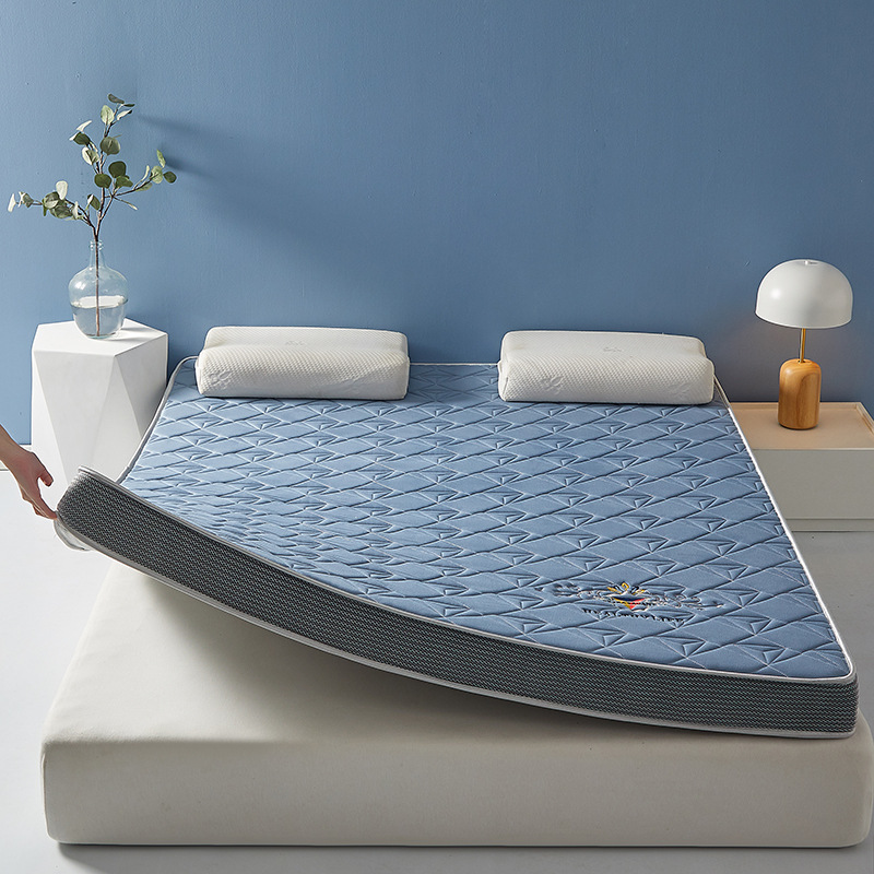 Picture of Latex Memory Sponge Mattress Household Cushion Cushion Special Thickened Sponge Mat for Student Dormitory Tatami Mat