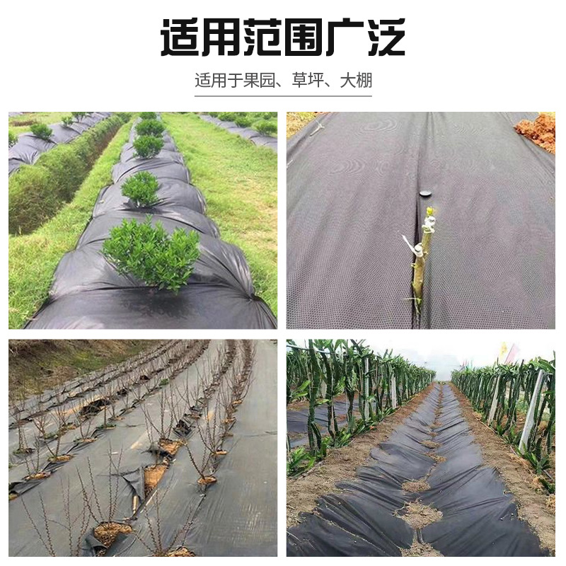 Picture of Anti-grass cloth greenhouse black thickened PP/PE weeding and anti-aging anti-grass cloth breathable and permeable wholesale