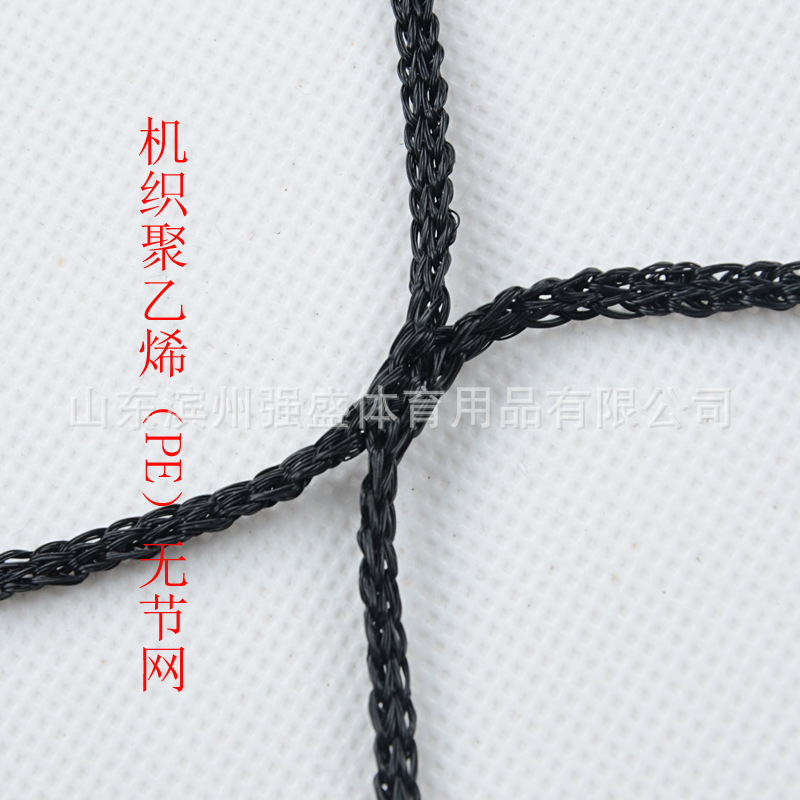 Picture of Qiangsheng volleyball net outdoor portable PE knotless polyethylene bold standard volleyball net Air volleyball net sand