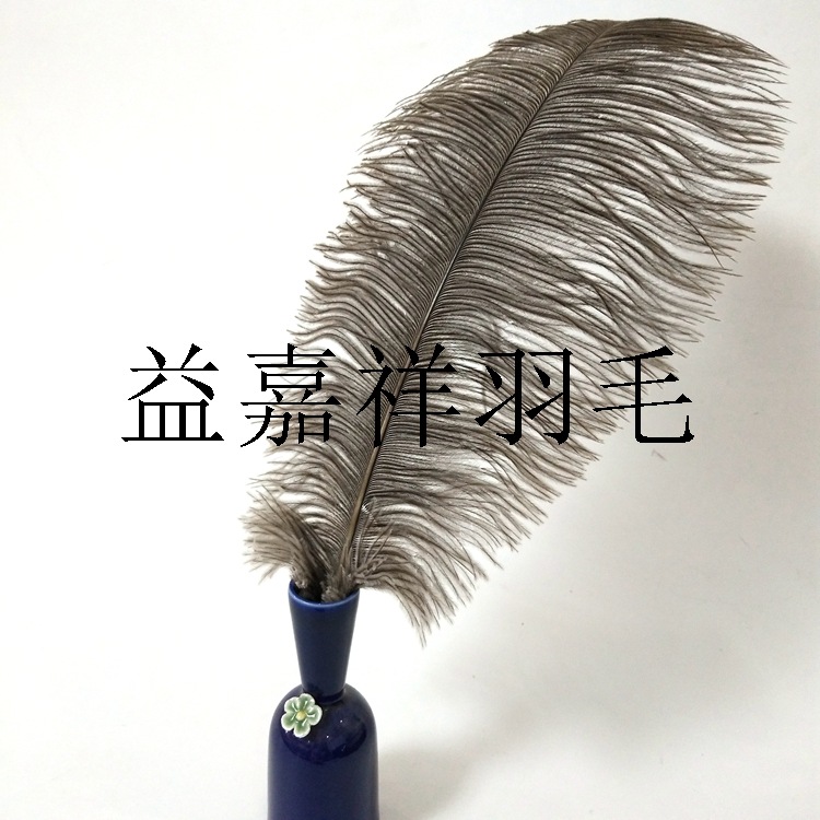 in stock direct wedding table decoration 40-45cm ostrich feather South Africa high quality gray ostrich feather