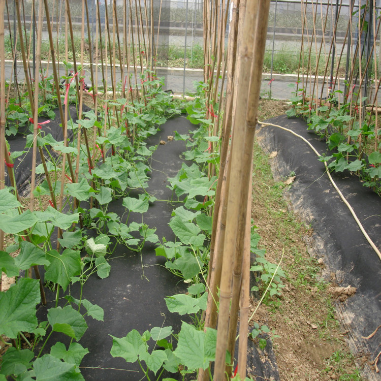 Picture of Anti-aging weeding cloth Anti-cold cloth Orchard water-permeable breathable film Moisturizing agricultural and horticultural floor cloth Cover grass and grass suppression film