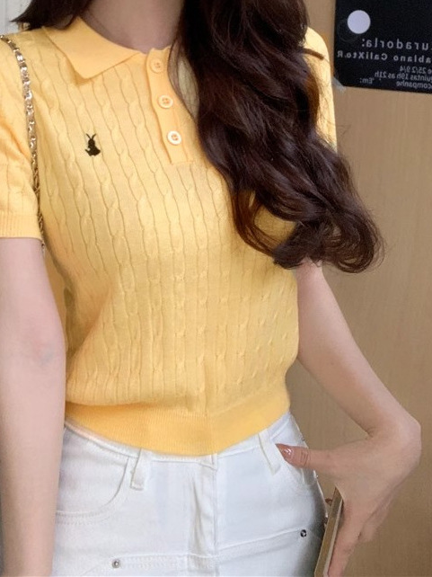 Tmall TikTok Quality College Style Polo Neck Embroidered Short-Sleeved T-Shirt Knitted Shirt Women's Slim-Fit Short Sweet Hot Top