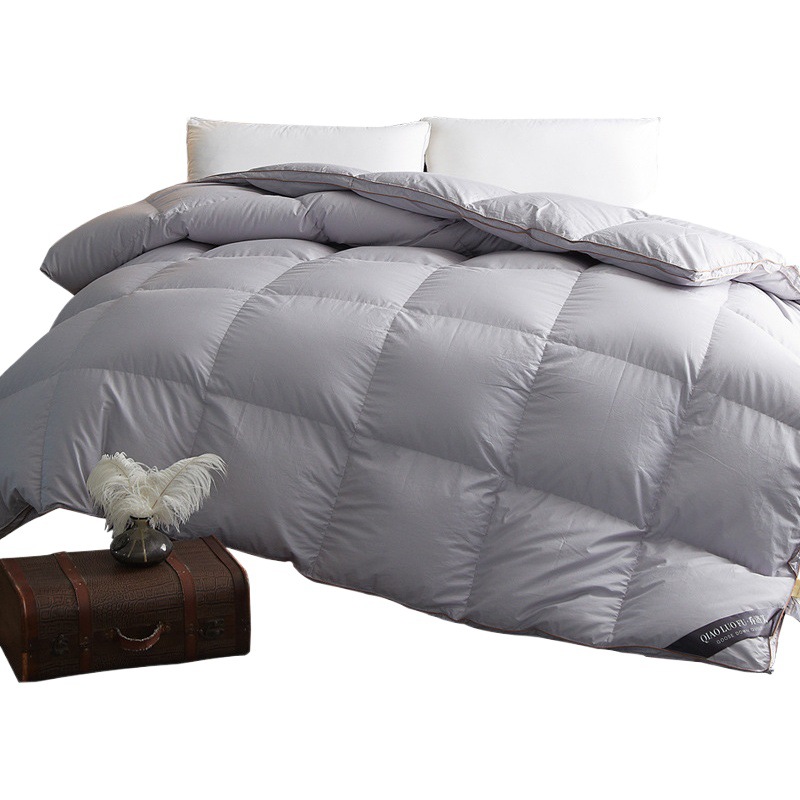 Hilton & Resorts Hotel Down Quilt 95 White Goose Down Quilt Spring Autumn Winter Core Quilt Two in One