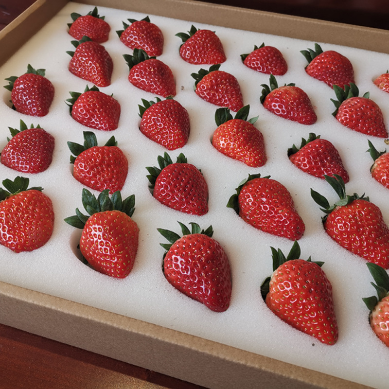 Picture of Customized Fruit Sponge Gasket Packaging, Shock-Absorbing Protective Lining, Water-Absorbent and Fresh-Keeping, Cuttable Colorful Pu Sponge