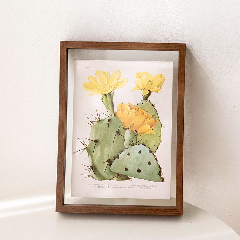 Picture of Double-sided transparent photo frame glass a4 picture frame mounting frame 7-inch specimen acrylic photo frame decoration 6-inch frame