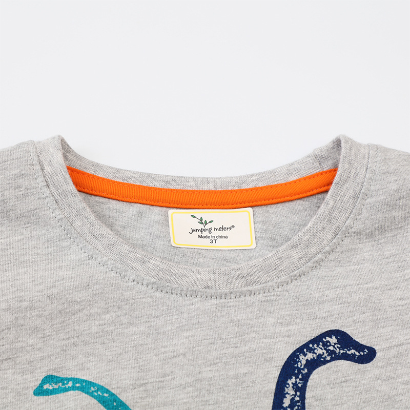 Picture of European and American New Autumn 2025 Children's Long-sleeved T-shirt European and American New Fashionable Children's Cartoon Printed Boys' Base Shirt