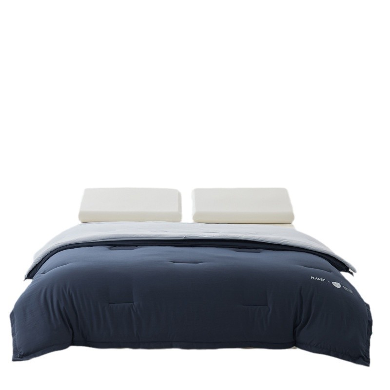 Picture of Sleeping Planet Deep Sleeping Quilt Pro Machine Washable Quilt Air Conditioning Quilt Autumn and Winter Quilt Thickened Warm Double Layer Four Seasons Quilt Core