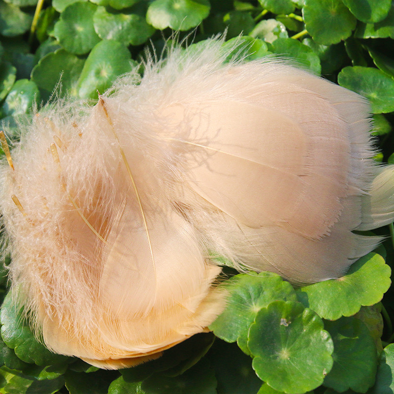 Picture of diy handmade color floating feather goose feather dream catcher wave ball gift box filling decoration materials