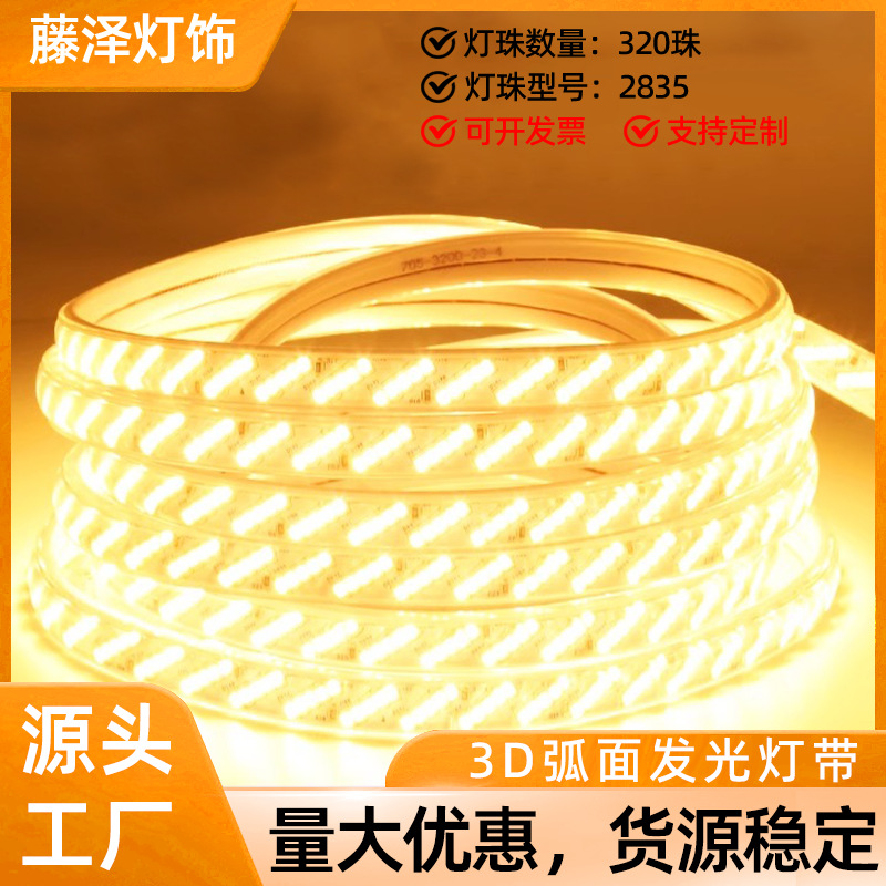2025 New 220V Waterproof Super Bright 320 Lights Home Living Room Ceiling Atmosphere Cob Outdoor Light with Led Light Strip