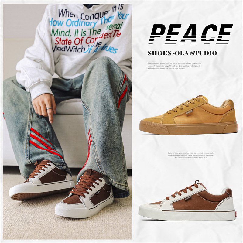 Canvas Shoes Men's 2025 Spring New Men's Shoes Korean Sports Casual Shoes All-match Niche Trendy Board Shoes Wholesale Cross-border