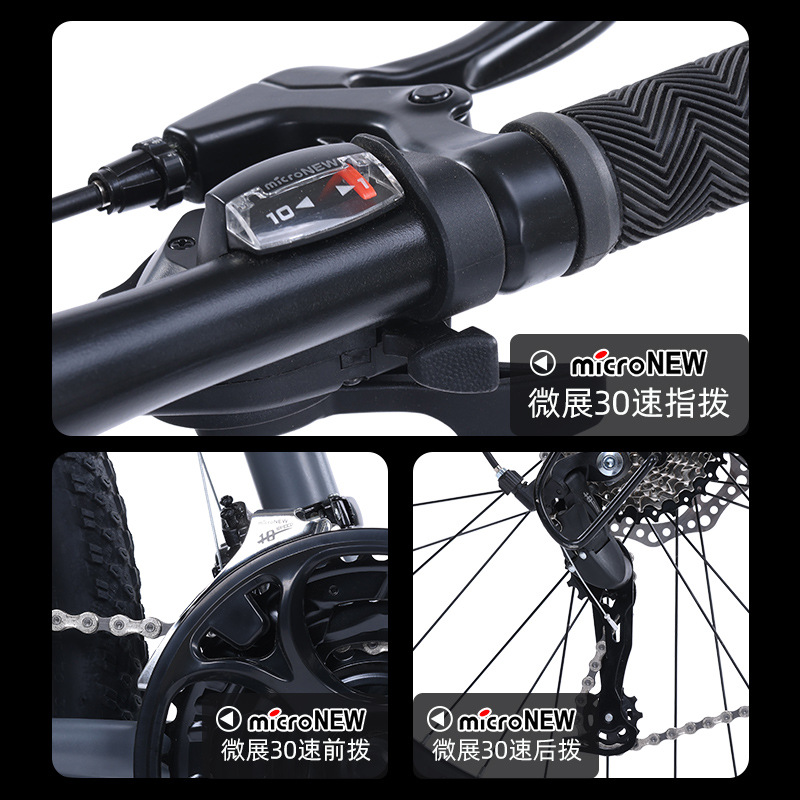 Picture of Flying Pigeon Bike Men's Cross-country Variable Speed Mountain Bike 24 Inch Outdoor Sports Cycling Road Bike