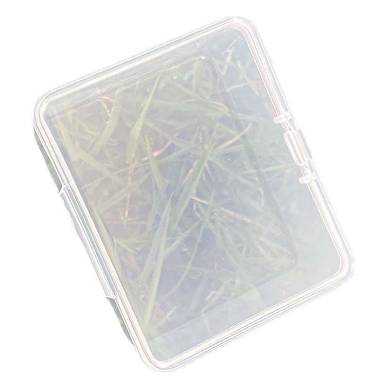 Jewelry Storage Box Anti-oxidation Box Earrings Necklace Transparent ins Multi-grid Portable Multi-functional Sundries Storage Tray