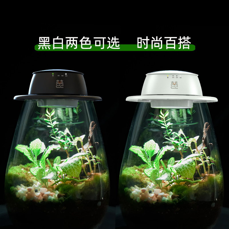 Rechargeable plant fill light micro landscape ecological bottle moss cylinder imitation solar full spectrum LED growth light wholesale