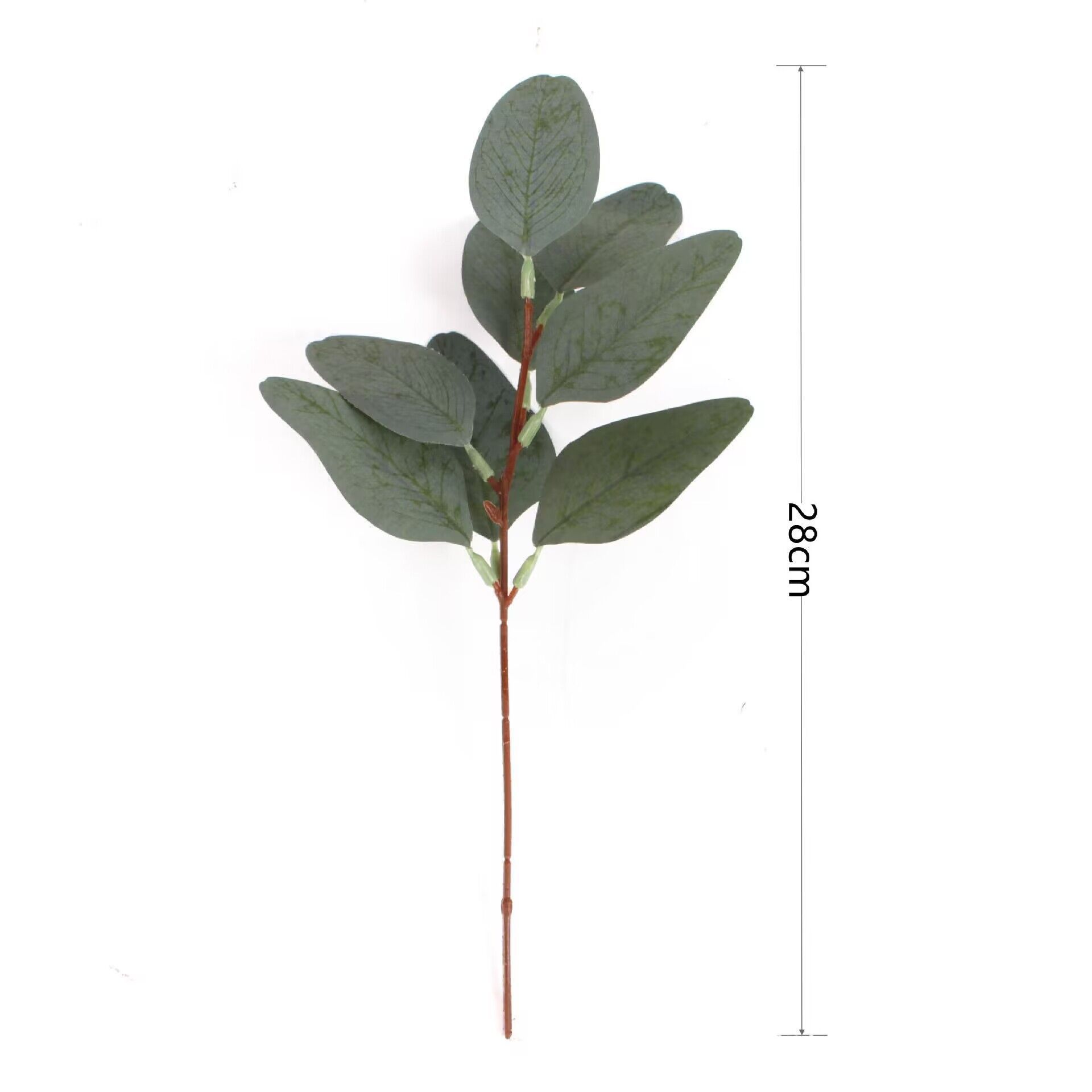 Picture of Amazon Cross-Border Artificial Flower Artificial Eucalyptus Leaf Stem Short Silver Dollar Branch Decorative Leaf Simulated Green Plant Plastic Leaf