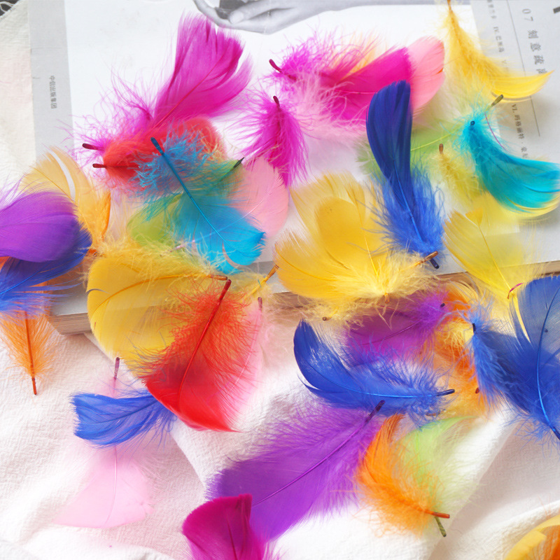 Picture of Manufacturer Wholesale Macaron Colorfulful Small Feather 5-8cm Goose Feather Small Floating Wave Ball Balloon Filling Decorative Material