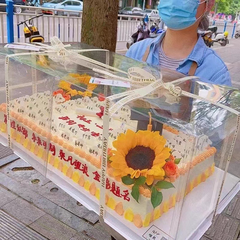Large Rectangular Cake Box Graduation Party Large Company Annual Meeting Extra Large Transparent Cake Box Wholesale