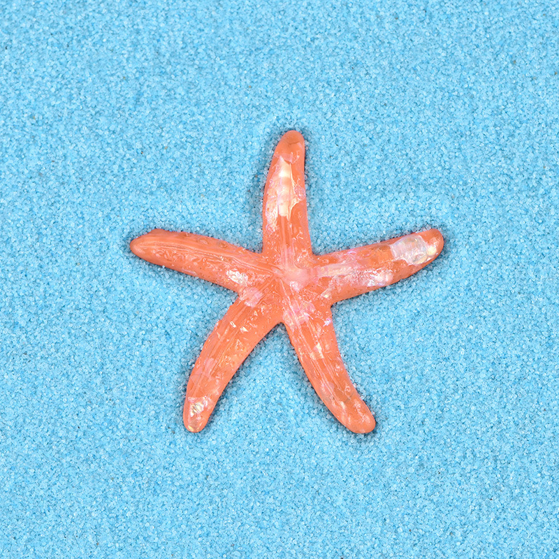 Picture of Crystal Starfish Shell Seascape Accessories Micro Landscape Resin DIY Mini Flat Ornaments Mobile Phone Case Jewelry