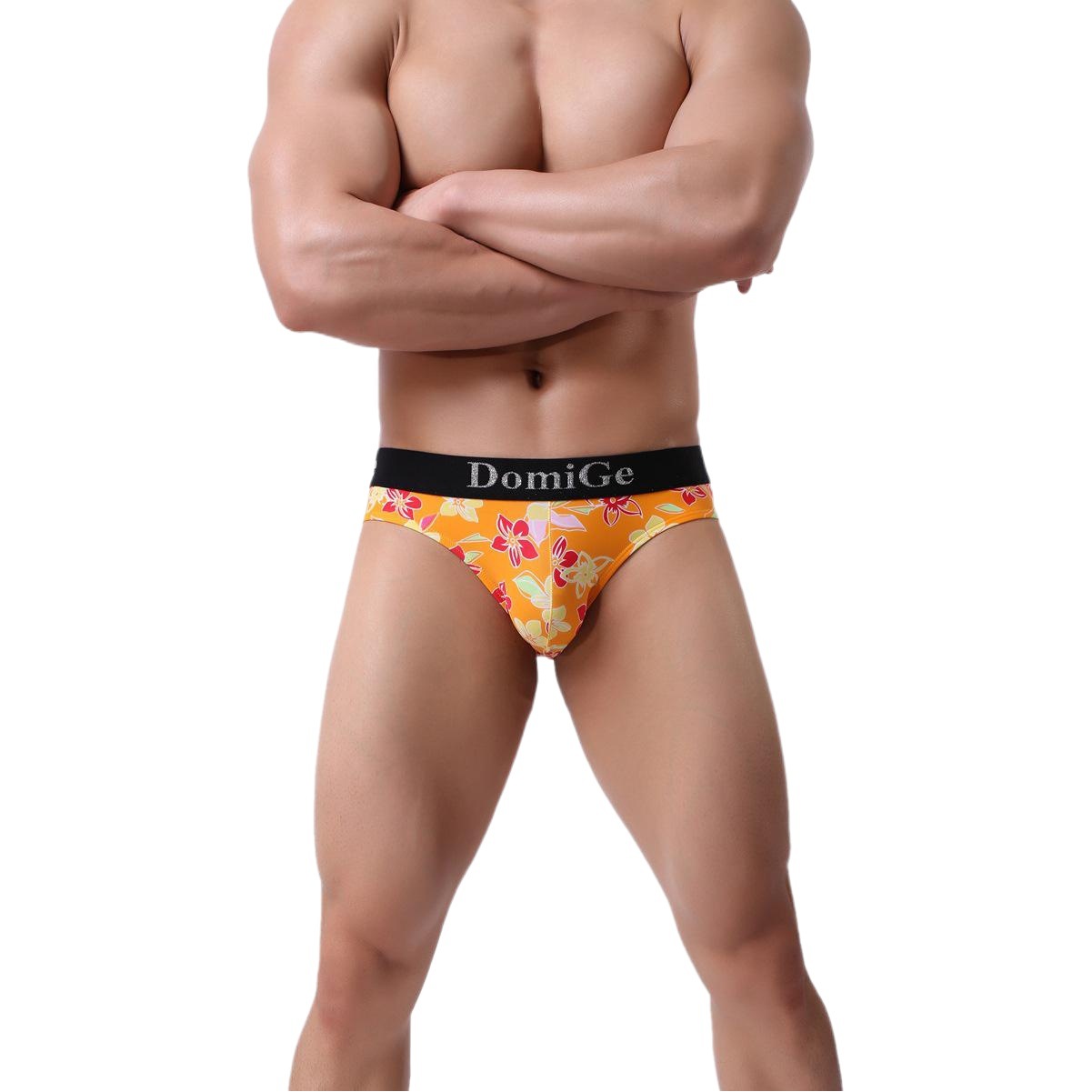 DomiGe Dumi International Rainbow Sexy Men's Briefs 5411 Fashion Personality Ice Silk Men's Briefs