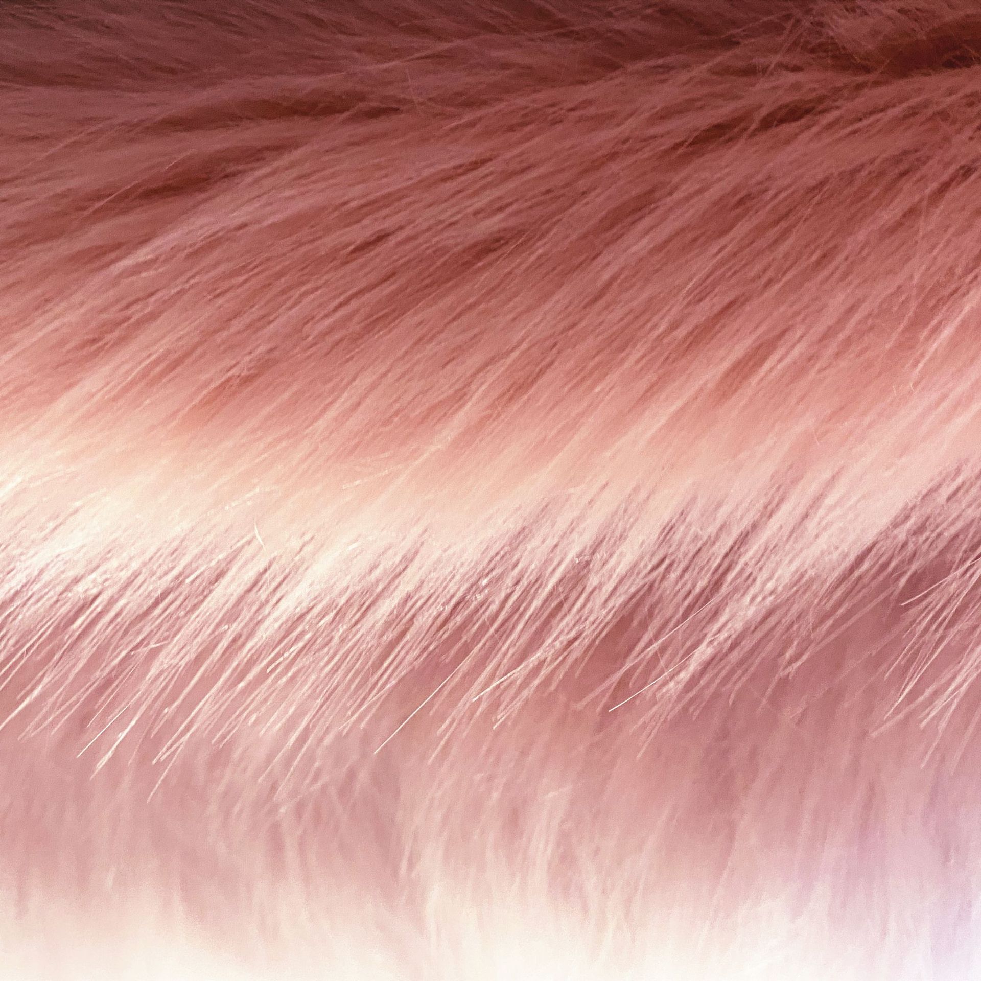 Picture of Artificial plush big fox fur raccoon fur 4cm artificial plush imitation Fox plush fabric