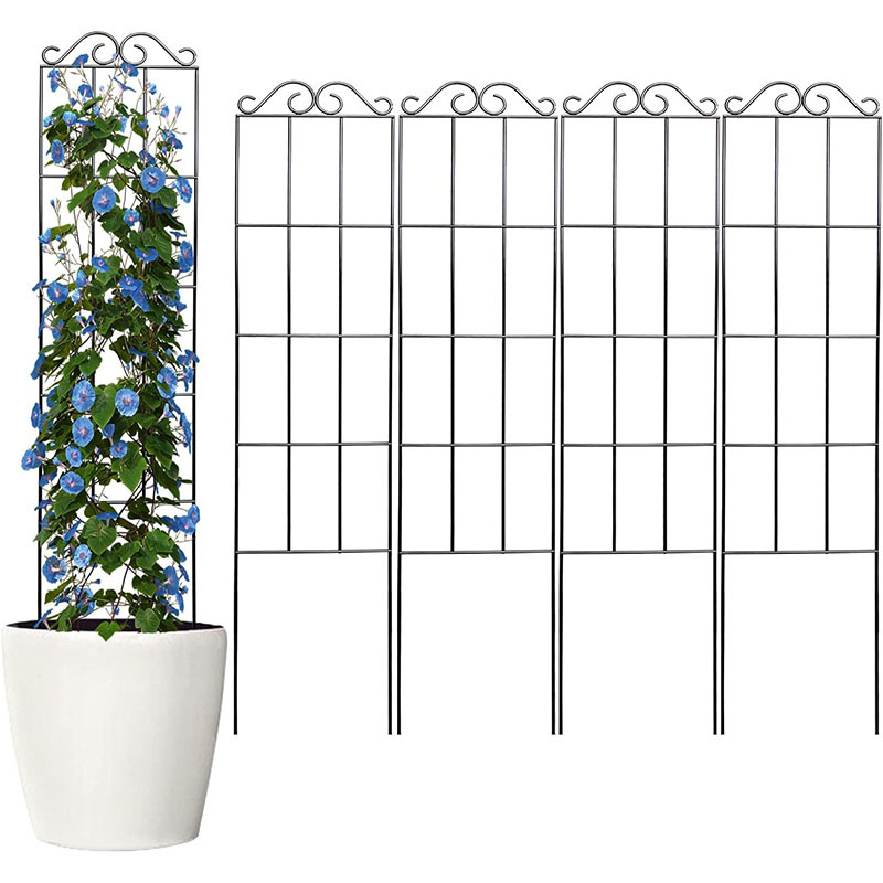 Cross-border new plant climbing rack indoor potted flower arrangement bracket metal potted gardening supplies Amazon